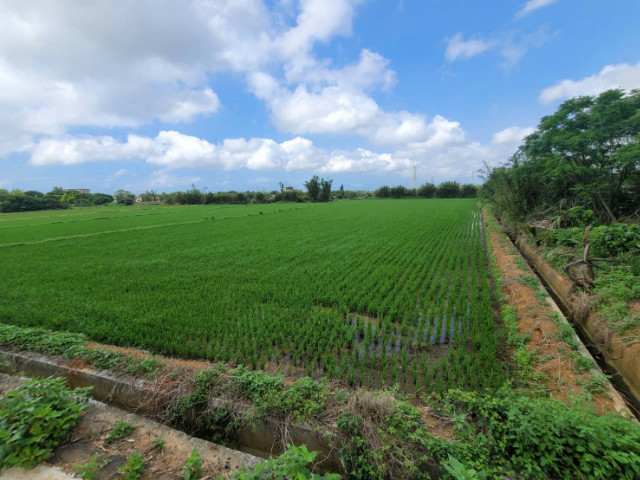 觀音休閒農業區農地