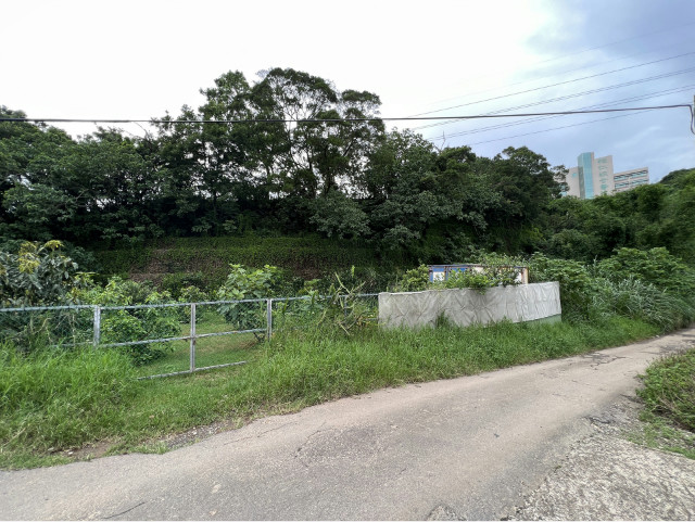 楊梅車站旁都計內農地