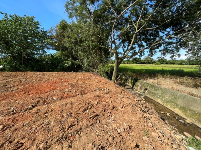 楊新路~甲建92坪