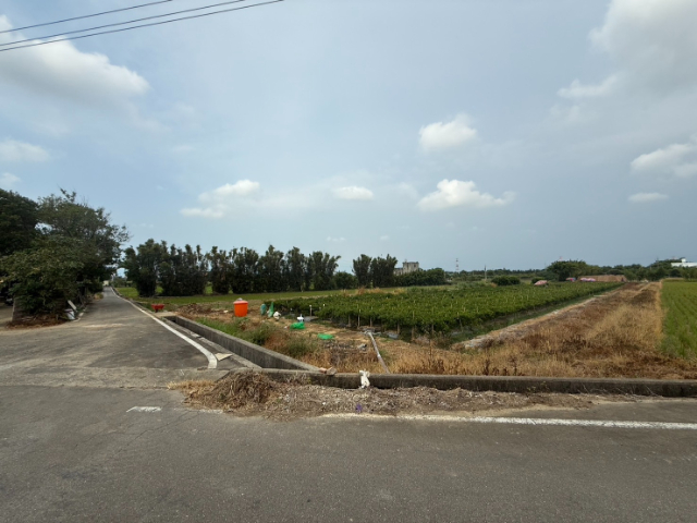 楊梅員笨段1455坪農地