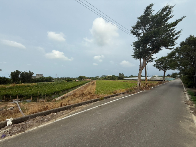 楊梅員笨段1455坪農地
