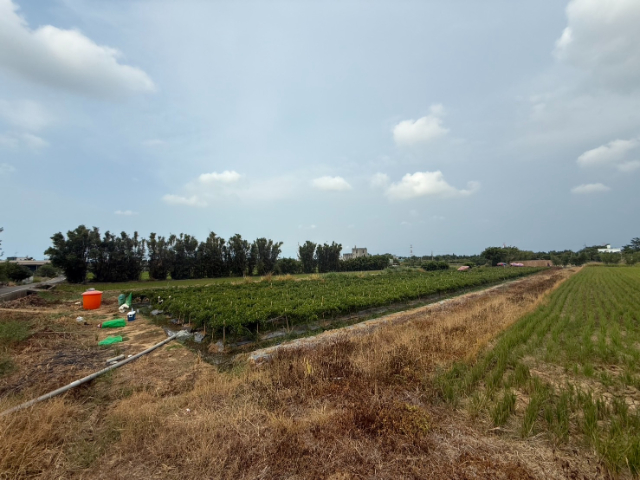 楊梅員笨段1455坪農地
